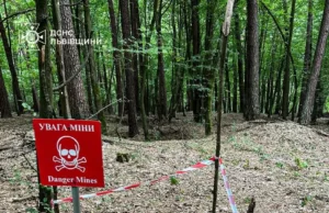 На Золочівщині піротехніки ДСНС знищили артснаряд часів Другої світової війни На Золочівщині піротехніки ДСНС знищили артснаряд часів Другої світової війни