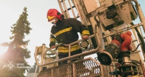 На Львівщині за добу ліквідували 9 пожеж, з них 4 в екосистемах