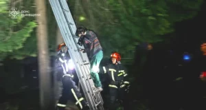 У Львові рятувальники зняли з дерева жінку з котом