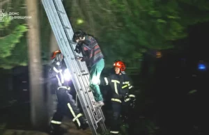 У Львові рятувальники зняли з дерева жінку з котом У Львові рятувальники зняли з дерева жінку з котом