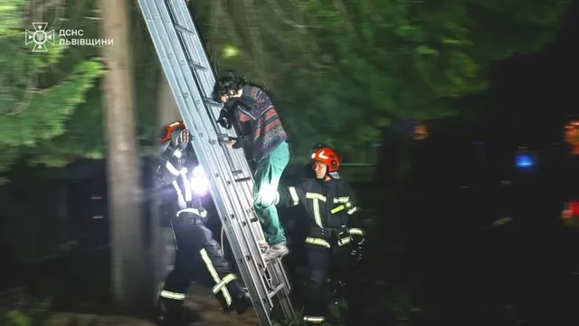 image У Львові рятувальники зняли з дерева жінку з котом
