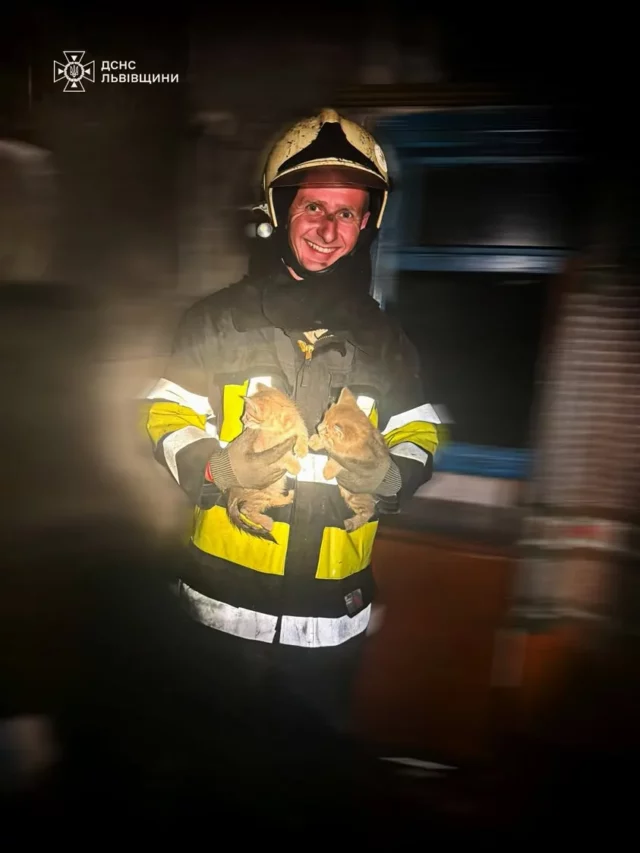image У селі Лісове на Золочівщині рятувальники загасили пожежу та врятували двох кошенят