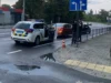 У Львові на перехресті Городоцької та Рівної травмована пішохідка