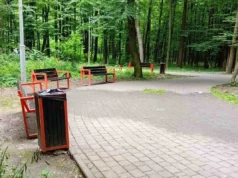 У Львові повторно оголосять аукціони на пересувну торгівлю в парках У Львові повторно оголосять аукціони на пересувну торгівлю в парках