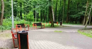 У Львові повторно оголосять аукціони на пересувну торгівлю в парках