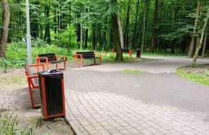 У Львові повторно оголосять аукціони на пересувну торгівлю в парках