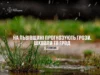 23 липня на Львівщині прогнозують грози, шквали та град