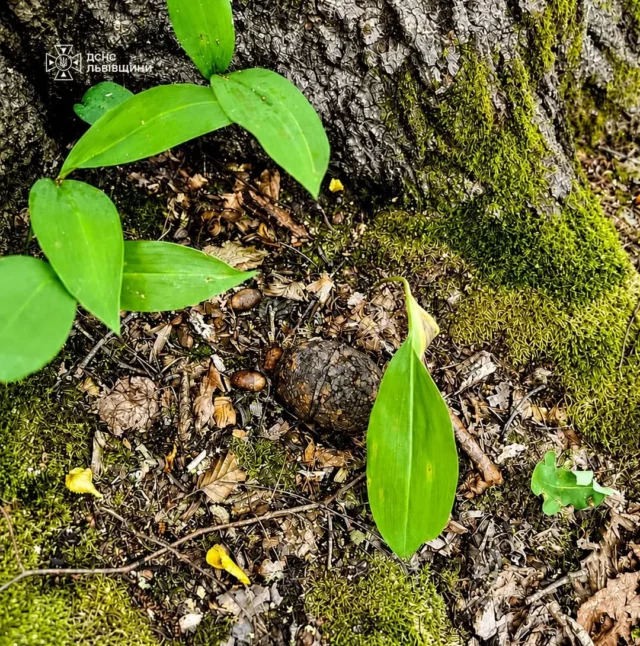 У Стрийському районі піротехніки ДСНС знищили гранату часів Другої світової війни