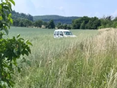 На Львівщині у ДТП загинув 76-річний водій Renault Kangoo