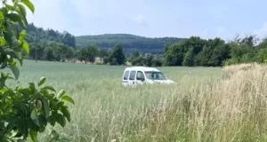 На Львівщині у ДТП загинув 76-річний водій Renault Kangoo