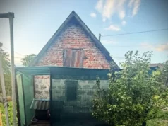 У Львові чоловік поранив собаку ножем та вилами: поліція розслідує жорстоке поводження У Львові чоловік поранив собаку ножем та вилами: поліція розслідує жорстоке поводження