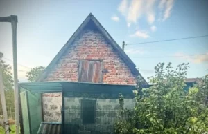 У Львові чоловік поранив собаку ножем та вилами: поліція розслідує жорстоке поводження У Львові чоловік поранив собаку ножем та вилами: поліція розслідує жорстоке поводження