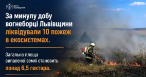 На Львівщині за добу ліквідували 10 пожеж в екосистемах