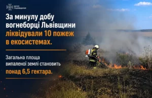 На Львівщині за добу ліквідували 10 пожеж в екосистемах