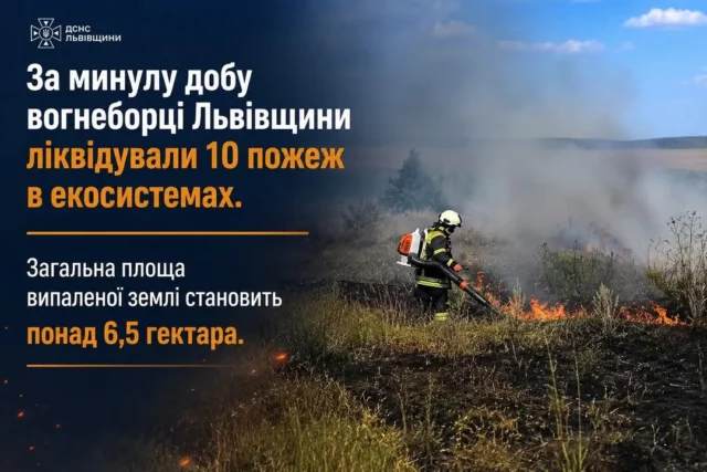 На Львівщині за добу ліквідували 10 пожеж в екосистемах
