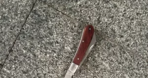 У Львові під час акції затримали чоловіка з ножем