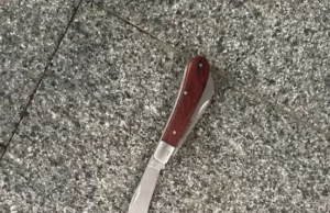 У Львові під час акції затримали чоловіка з ножем