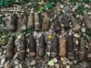 На Львівщині піротехніки знищили 18 снарядів часів Другої світової