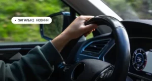 Ветерани можуть оформити автоцивілку безкоштовно: як отримати компенсацію онлайн