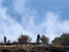 Поблизу села Зелів на Яворівщині триває гасіння торф’яної пожежі