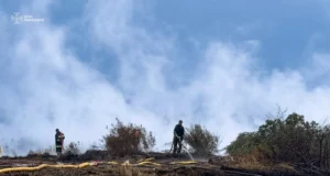 Поблизу села Зелів на Яворівщині триває гасіння торф’яної пожежі