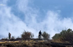 Поблизу села Зелів на Яворівщині триває гасіння торф’яної пожежі