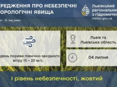 На Львівщині 4 липня очікують сильний вітер жовтого рівня небезпеки На Львівщині 4 липня очікують сильний вітер жовтого рівня небезпеки