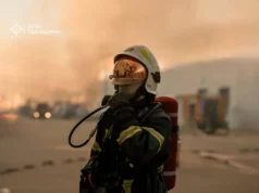 На Львівщині за добу загасили 29 пожеж, більшість — в екосистемах