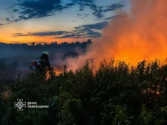 На Львівщині за добу ліквідовано 21 пожежу в екосистемах На Львівщині за добу ліквідовано 21 пожежу в екосистемах