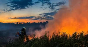 На Львівщині за добу ліквідовано 21 пожежу в екосистемах
