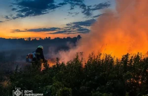 На Львівщині за добу ліквідовано 21 пожежу в екосистемах