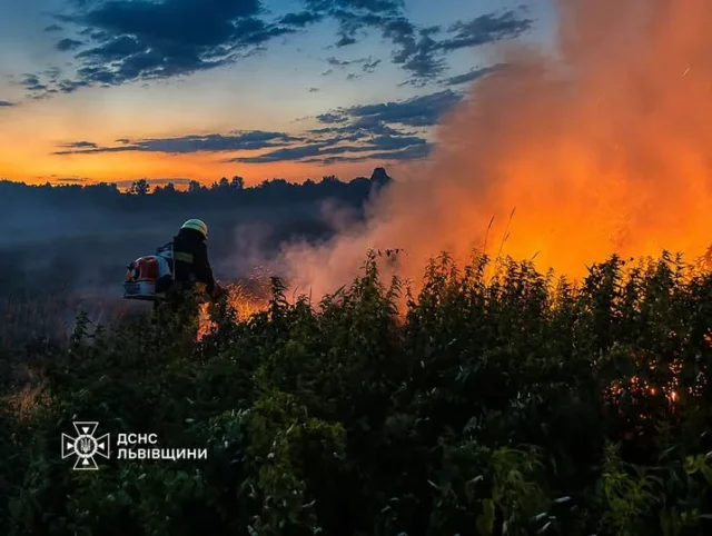 image На Львівщині за добу ліквідовано 21 пожежу в екосистемах