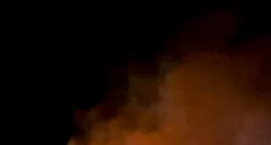 На Львівщині за добу ліквідували 35 пожеж в екосистемах