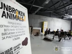 У Львові стартувало навчання учасників програми емоційної підтримки ветеранів Unbroken Animals У Львові стартувало навчання учасників програми емоційної підтримки ветеранів Unbroken Animals