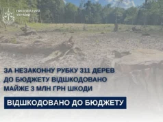 На Стрийщині від незаконної вирубки 311 дерев до бюджету стягнули майже 3 млн грн На Стрийщині від незаконної вирубки 311 дерев до бюджету стягнули майже 3 млн грн