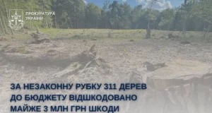 На Стрийщині від незаконної вирубки 311 дерев до бюджету стягнули майже 3 млн грн