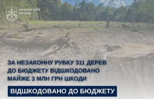 На Стрийщині від незаконної вирубки 311 дерев до бюджету стягнули майже 3 млн грн