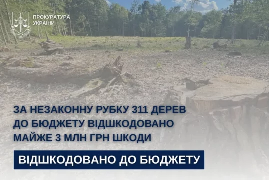 На Стрийщині від незаконної вирубки 311 дерев до бюджету стягнули майже 3 млн грн