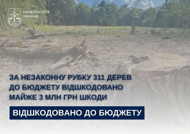 image На Стрийщині від незаконної вирубки 311 дерев до бюджету стягнули майже 3 млн грн