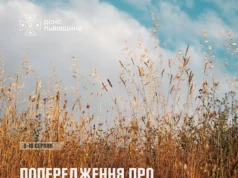 На Львівщині оголосили надзвичайну пожежну небезпеку На Львівщині оголосили надзвичайну пожежну небезпеку
