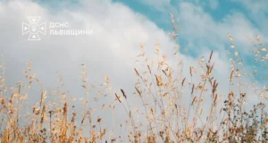 На Львівщині оголосили надзвичайну пожежну небезпеку