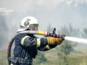 На Львівщині за добу ліквідували 29 пожеж, більшість — в екосистемах На Львівщині за добу ліквідували 29 пожеж, більшість — в екосистемах