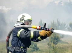 На Львівщині за добу ліквідували 29 пожеж, більшість — в екосистемах