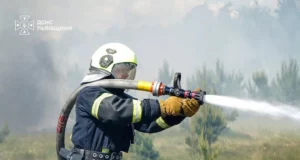На Львівщині за добу ліквідували 29 пожеж, більшість — в екосистемах