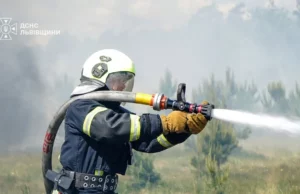 На Львівщині за добу ліквідували 29 пожеж, більшість — в екосистемах На Львівщині за добу ліквідували 29 пожеж, більшість — в екосистемах