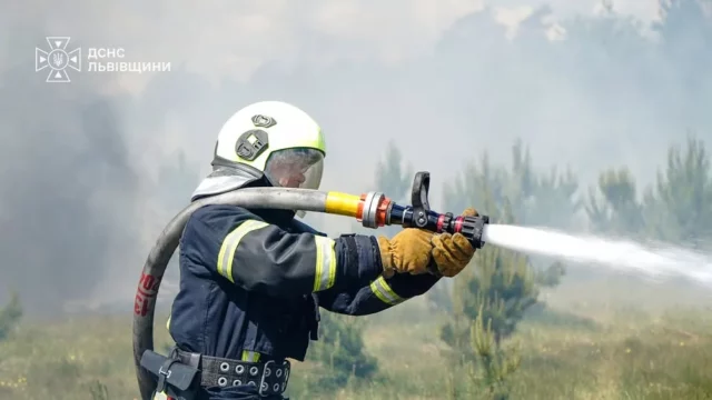 image На Львівщині за добу ліквідували 29 пожеж, більшість — в екосистемах