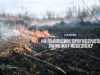 На Львівщині 11–12 серпня очікують надзвичайну пожежну небезпеку На Львівщині 11–12 серпня очікують надзвичайну пожежну небезпеку