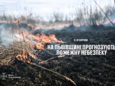 (Українська) На Львівщині 11–12 серпня очікують надзвичайну пожежну небезпеку На Львівщині 11–12 серпня очікують надзвичайну пожежну небезпеку