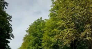 Громада прощається з Іваном Харачаком