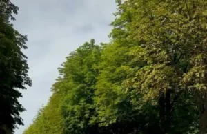 Громада прощається з Іваном Харачаком